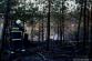21 21-4-2015 Požár lesa Náměšť na Hané (46).JPG