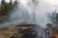 5 Požár lesa, Libějovické Svobodné Hory - 29. 9. 2015 (2).jpg