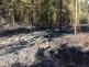 Požár lesa, Smědeč - 21. 4. 2019 (5).jpg