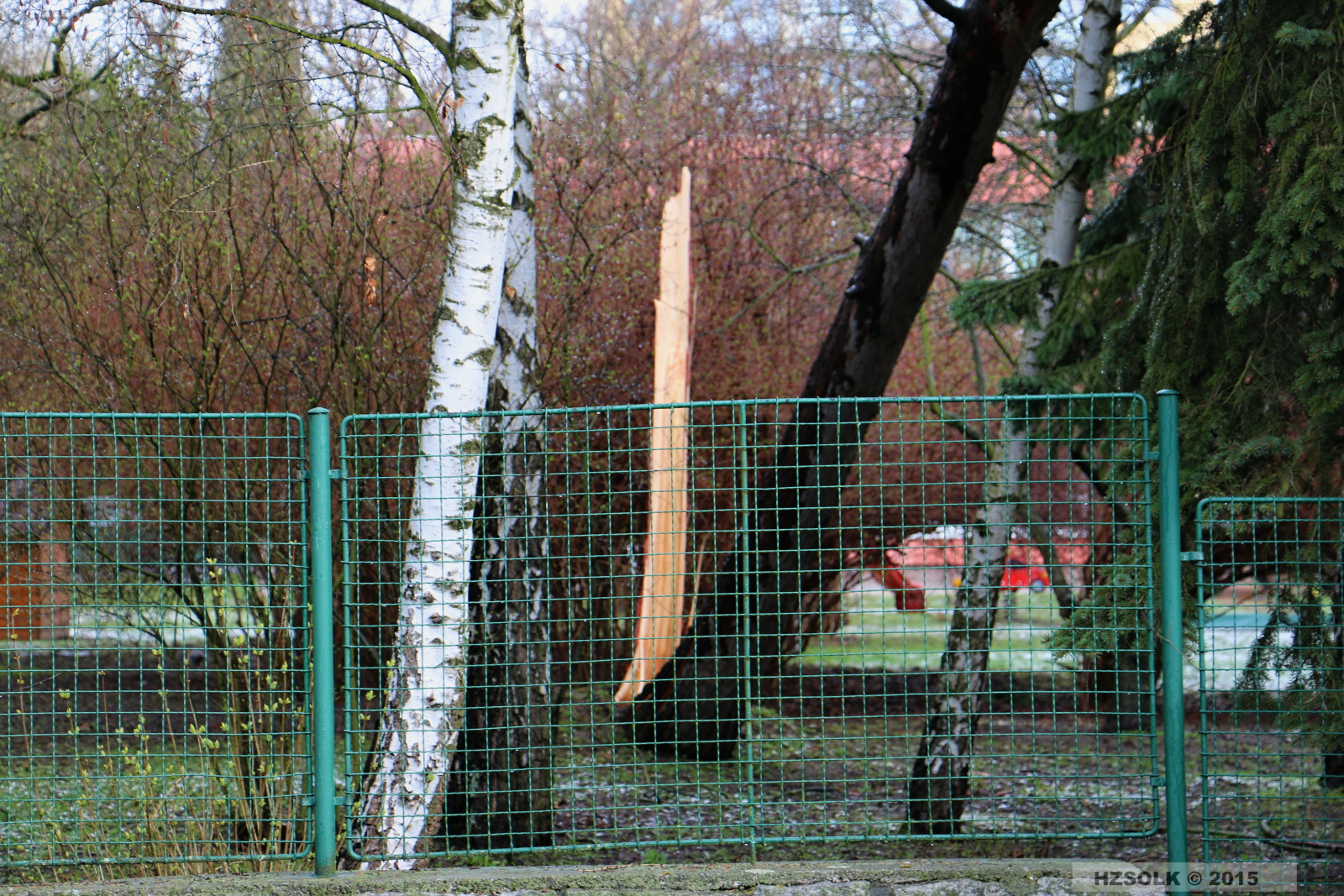 1 TP_Olomouc_Jilova_1-4-2015 odstranění stromu Olomouc (1).JPG