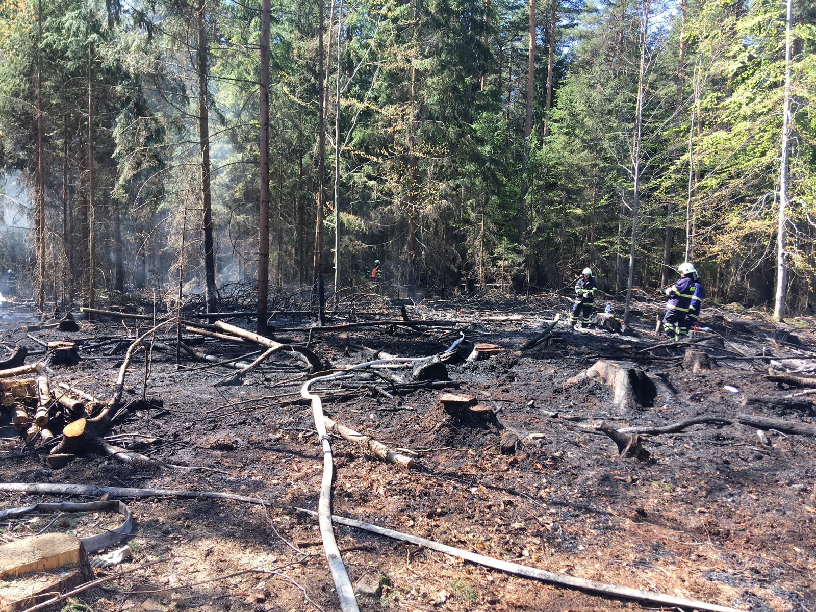 Požár lesa, Smědeč - 21. 4. 2019 (2).jpg