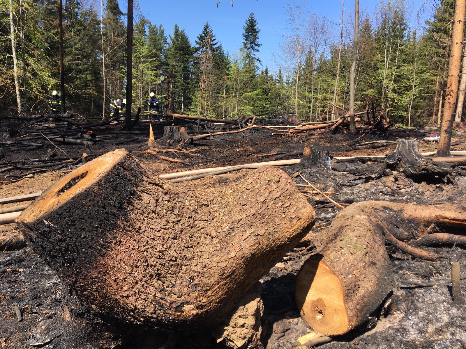 Požár lesa, Smědeč - 21. 4. 2019 (3).jpg