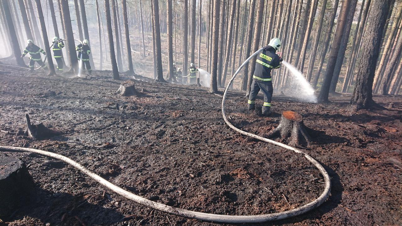 Požár lesa, Cizkrajov -  6. 4. 2020 (6).JPG