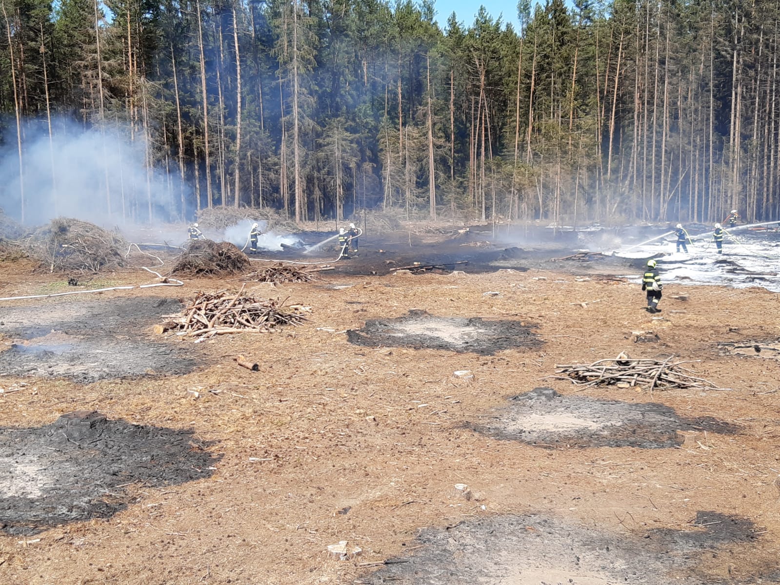 Požár lesa, Vlčeves - 7. 5. 2020 (3).jpg