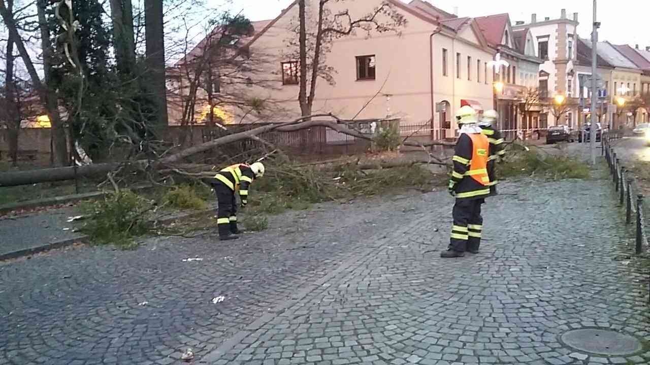 PAK_silný vítr zaměstnal hasiče_hasiči odstraňují zlomený strom v obci.jpg