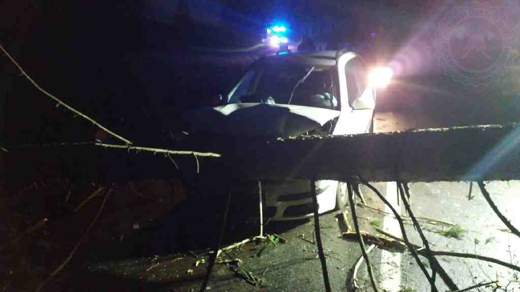 PAK_silný vítr zaměstnal hasiče_na osobní auto spadl strom.jpg