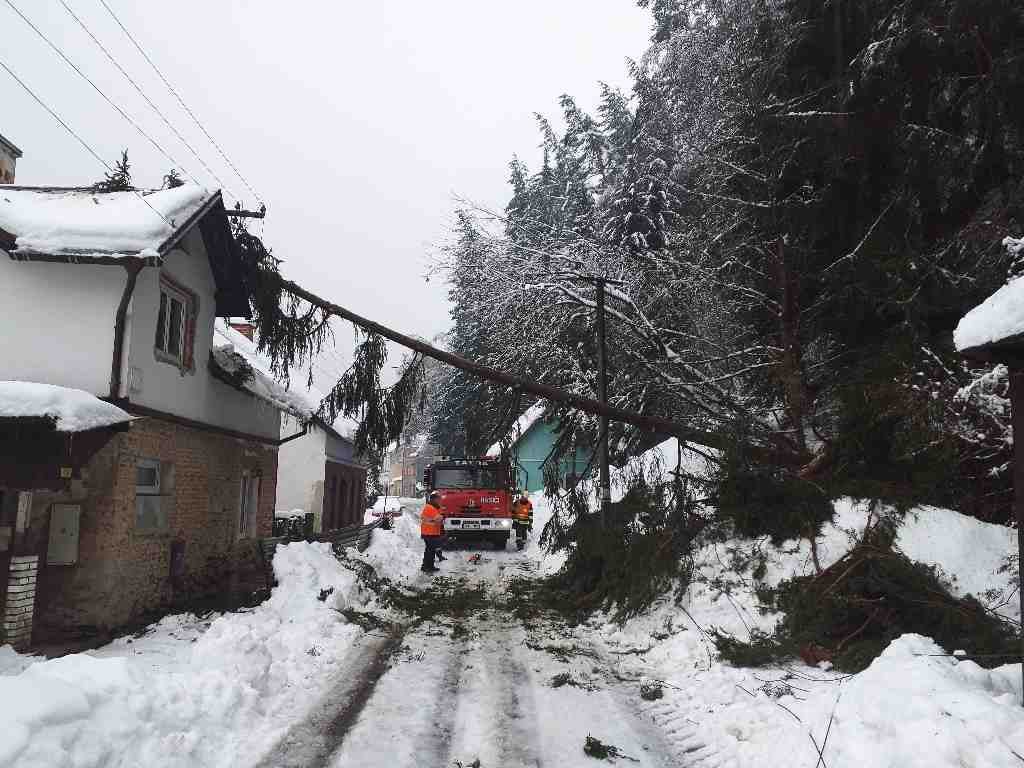 KVK_hasiči odklízí v obytné oblasti stromy, které polámal těžký sníh.jpg