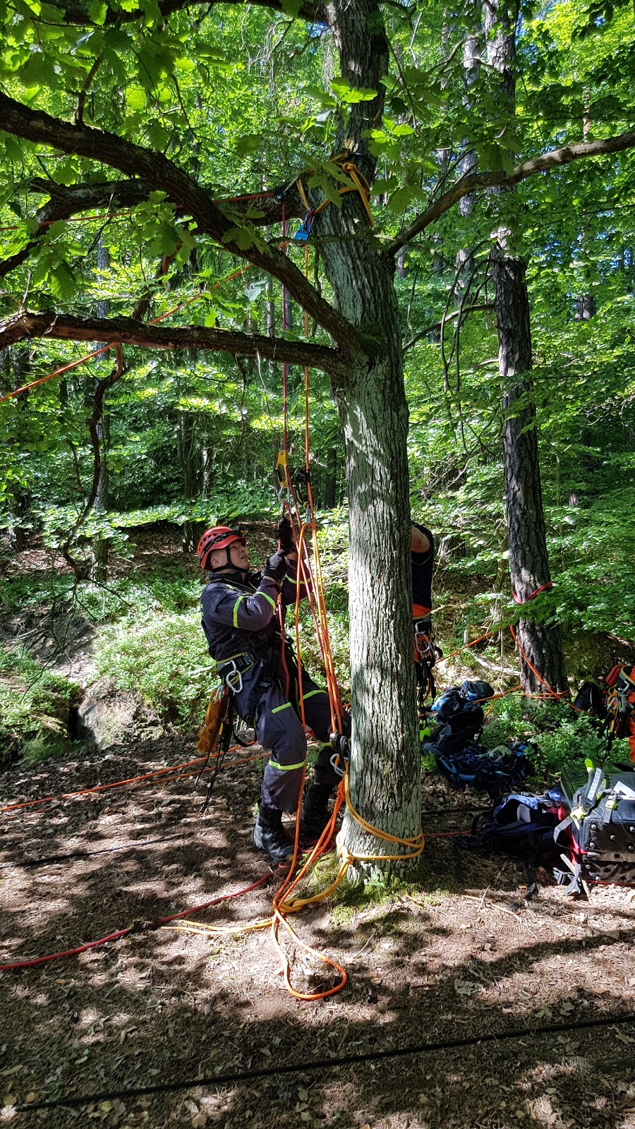 003-Pozemní lezecké družstvo při záchraně ve skalách.jpg