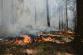 Požár lesa_NP České Švýcarsko_pohled na hořící porosty