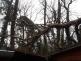 005 - padlý strom na chatu