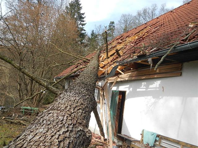 6 Spadlý strom na dům, Plavsko - 17. 3. 2015 (8).jpg