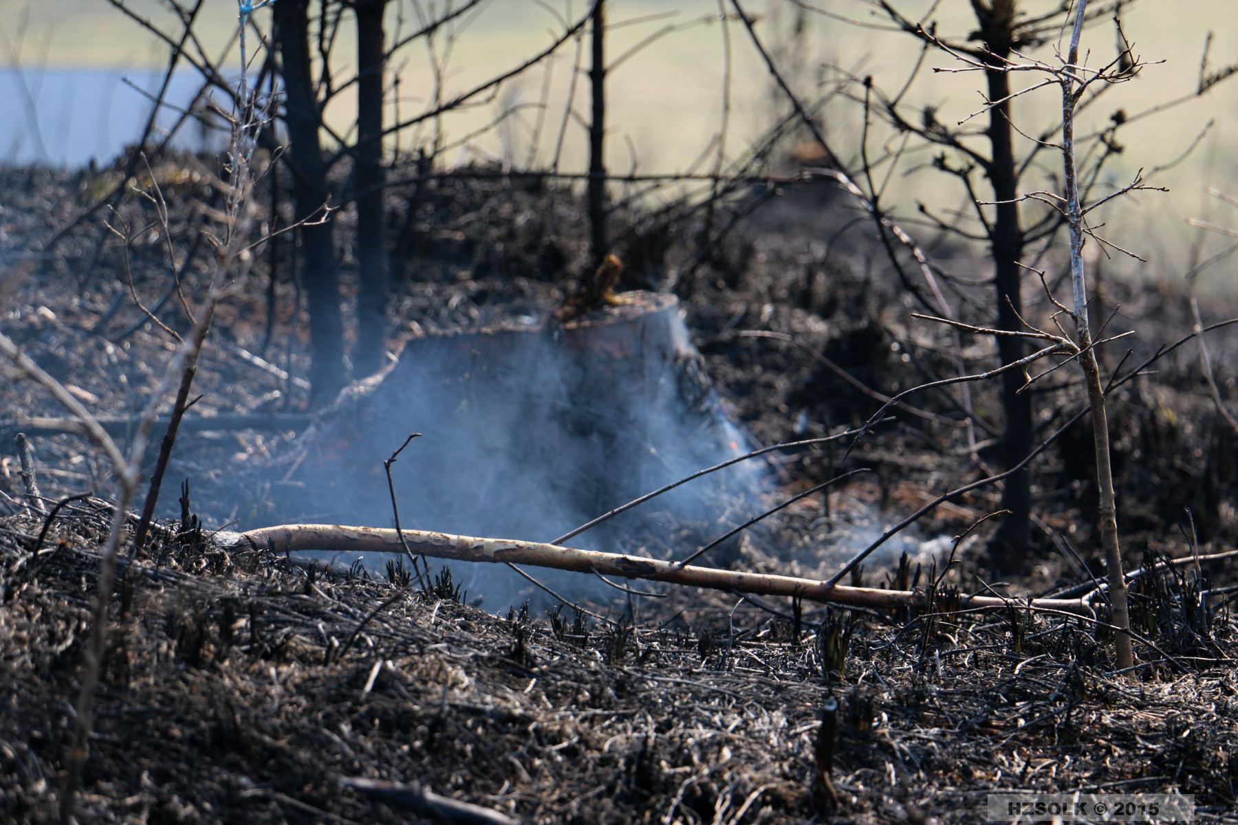 11 P_LP_24-3-2015 Požár lesa Přerov Penčice (19).JPG