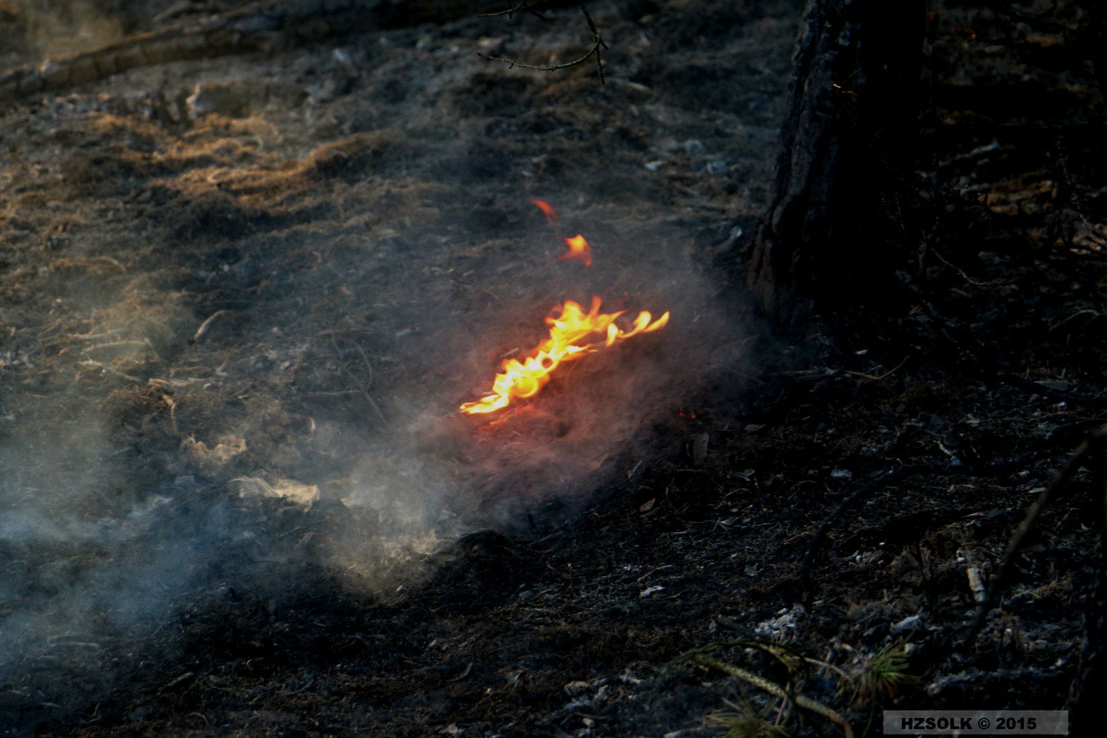 4 21-4-2015 Požár lesa Náměšť na Hané (12).JPG