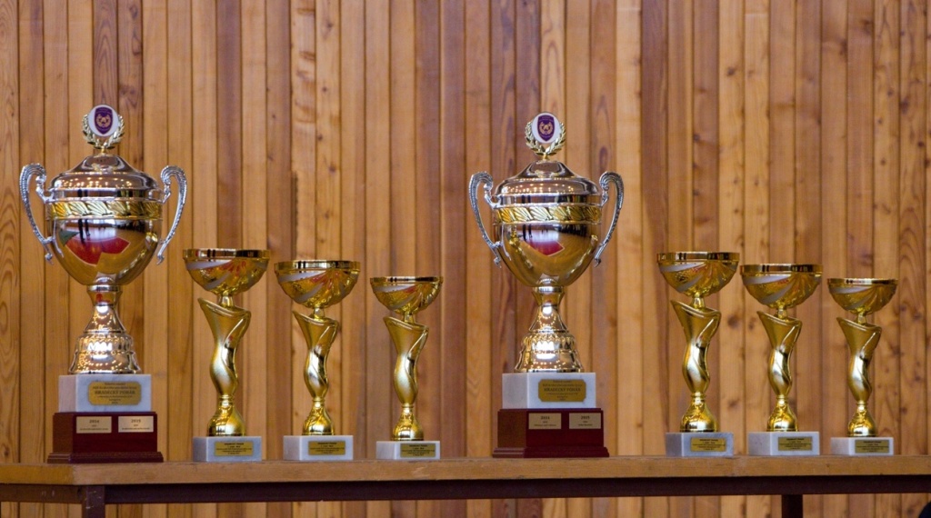 Hradecký pohár v CTIF (6).jpg