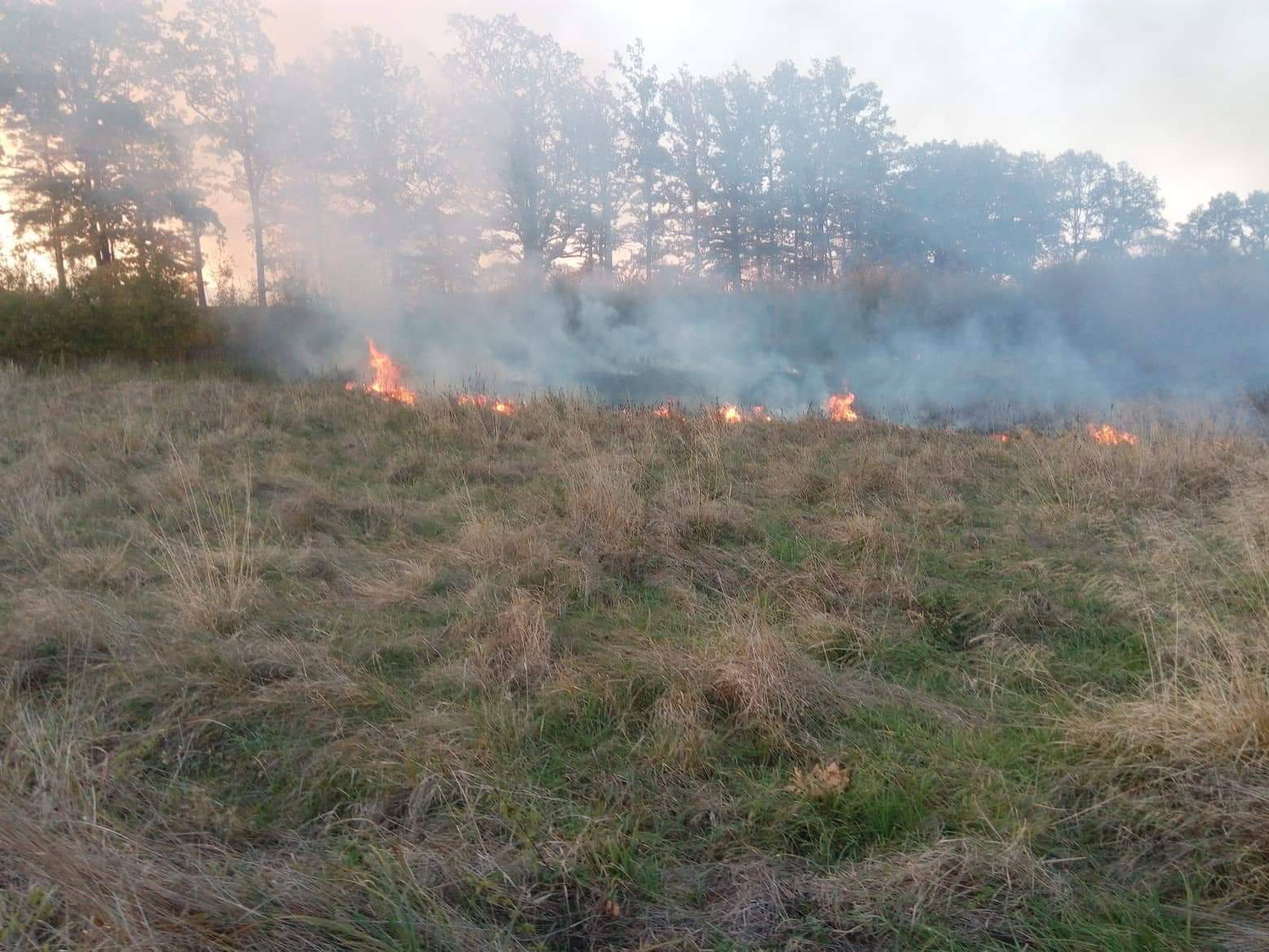 Požár trávy a dřevin, Knín - 11. 10. 2018 (2).jpg