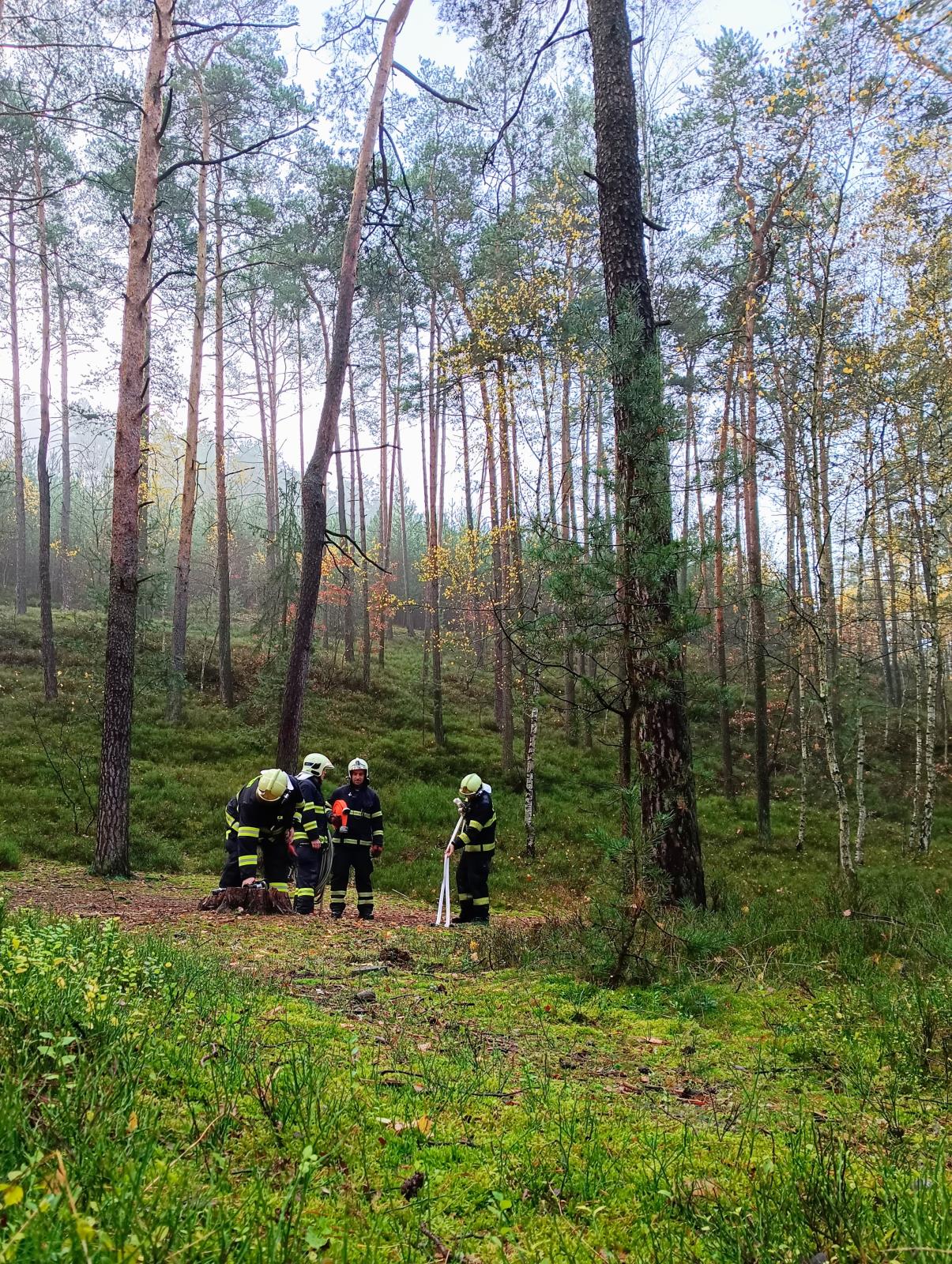 Cílem cvičení bylo prověření součinnosti profesionálních a dobrovolných hasičů při společném zásahu v lesním terénu