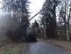 012-Vysoký Chlumec na Příbramsku-dva spadlé stromy přes vozovku