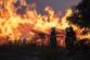 039-Požár hromady uskladněného dřeva v bývalém areálu Poldi Kladno