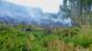 5 16-6-2015 Požár lesní porost Dlouhomilov (5)