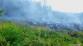 7 16-6-2015 Požár lesní porost Dlouhomilov (7)
