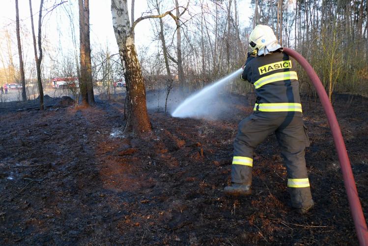 Zda byl požár lesa v Černé u Bohdanče založen úmyslně se nyní vyšetřuje