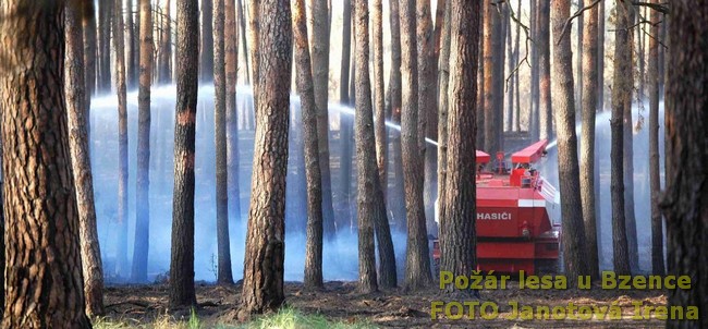 Požár lesa u Bzence - FOTO Janotová Irena.jpg