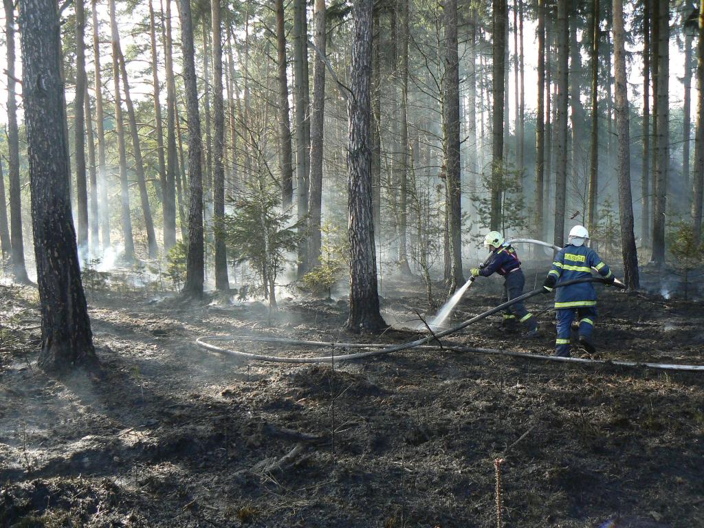 2.4.2014 Požár lesa Pňovany.JPG