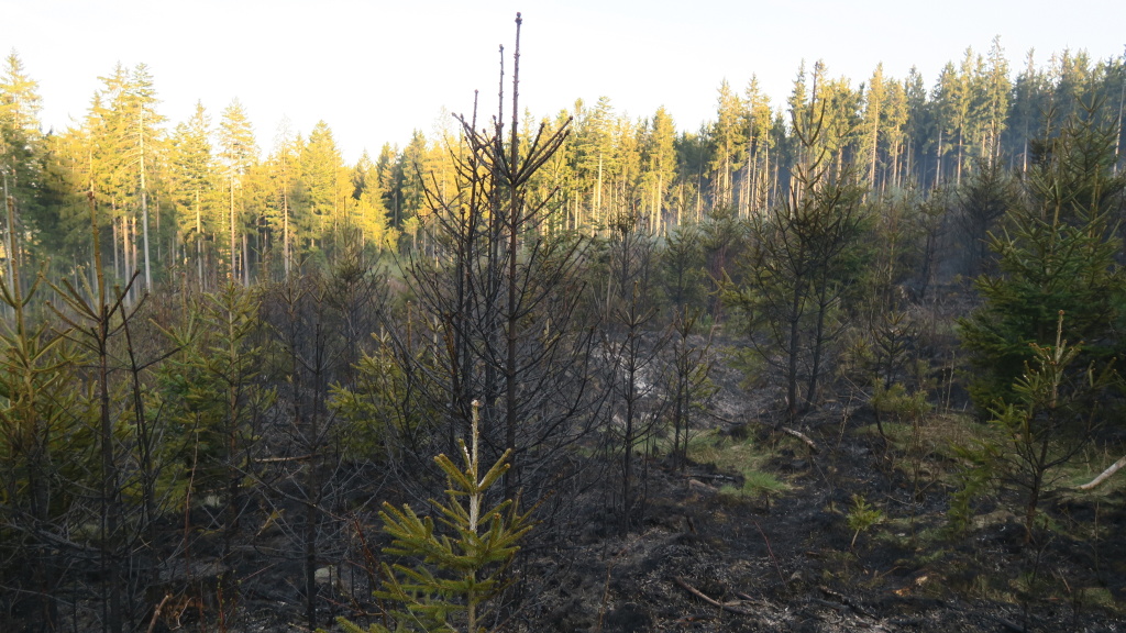 19_4_2018 požár lesního porostu  Žlíbek (1).jpg