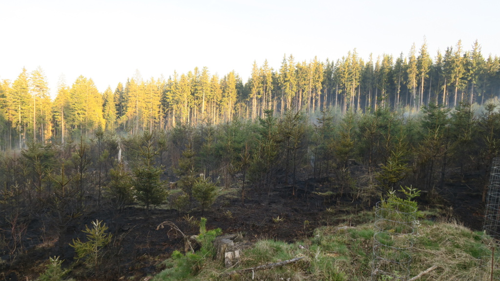 19_4_2018 požár lesního porostu  Žlíbek (4).jpg