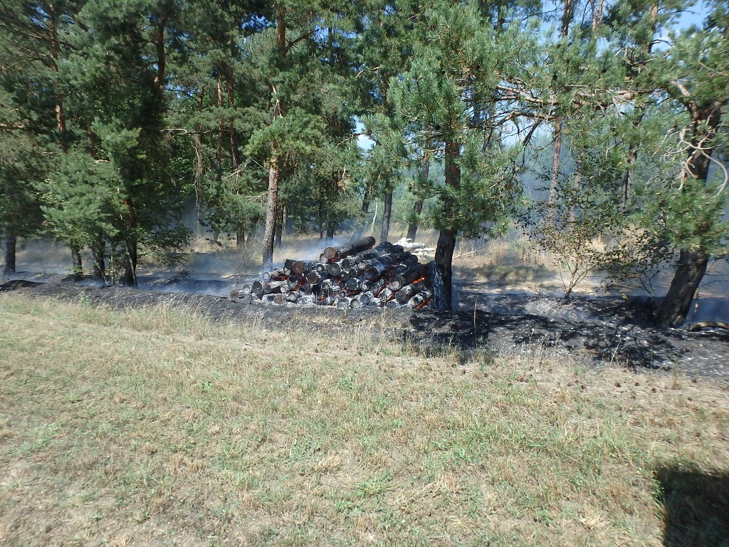 31.7.2017 (RO) požár trávy Bujesily (2).JPG