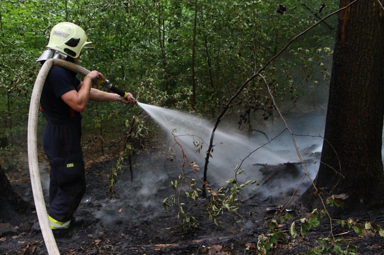 Požár lesa Děčín Bynov (4).jpg