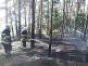 184-Lesní požár u obce Velký Osek na Kolínsku