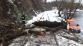 364-Odstraňování mohutného stromu ze železniční trati u Zruče nad Sázavou