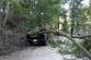 218-Pád stromu na osobní automobil v katastru obce Křepenice u Cholínského mostu na Příbramsku