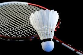 badminton.png