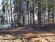 Požár v lese Březina u Tišnova (13).jpg