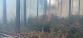 2021-11-05-Požár lesního porostu Černovice BK/2021-11-05-Požár lesního porostu Černovice BK (12).jpg