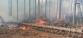 2021-11-05-Požár lesního porostu Černovice BK/2021-11-05-Požár lesního porostu Černovice BK (13).jpg