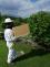 roj včel na stromě - květen 2021-včelař.jpg