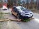 Dopravní nehoda OA do stromu, Heřmaneč - 17. 2. 2022  (1).jpg