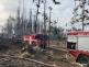 Požár lesa, Kunžak - 20. 3. 2022 (7).jpg
