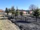Pět jednotek hasičů likvidovalo požár stromků v lesní školce.