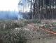 Požár maringotky v lese u obce Moraveč.