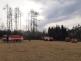 Požár lesa, Cizkrajov - 29. 3. 2022 (3).jpg