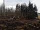 Požár lesa, Cizkrajov - 29. 3. 2022 (4).jpg
