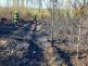 Požár lesa, Slapsko - 17. 4. 2022 (5).jpg