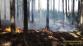 20_7_2022 požár lesa Blížejov (4).jpg