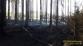 20_7_2022 požár lesa Blížejov (5).jpg