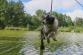 Jeden ze psů transportovaný pomocí lanového traverzu nad vodní hladinou .jpg