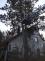 Strom Ústupky Seč.jpg